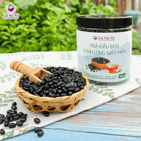 Trà đậu đen xanh lòng nảy mầm