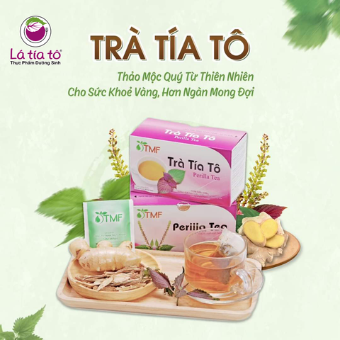 Trà tía tô túi lọc
