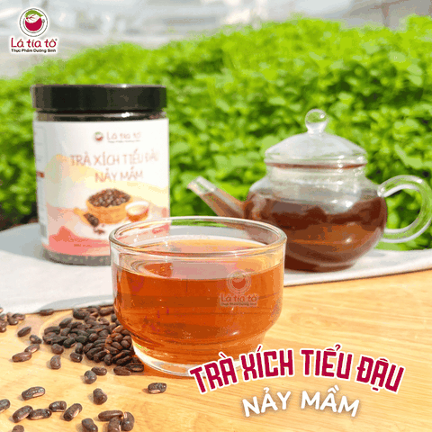 Trà xích tiểu đậu nảy mầm