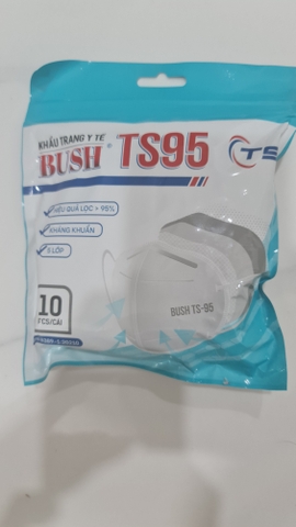 Bush TS95