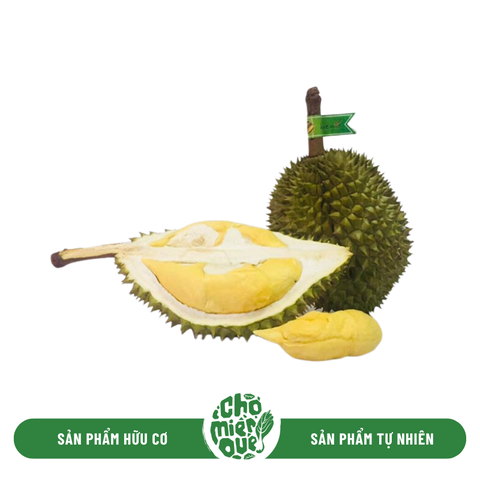 Sầu riêng RI6 - Kg