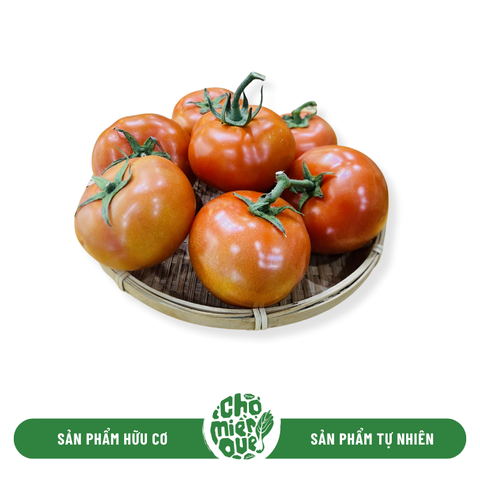 Cà chua beef hữu cơ - Kg