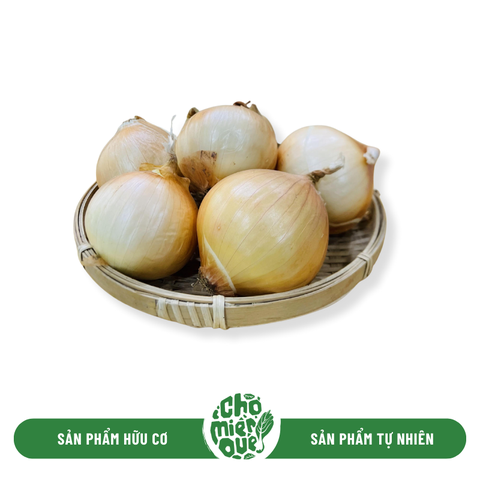 Hành Tây Trắng hữu cơ - Kg