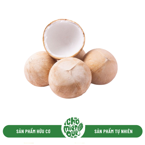 TPO - Dừa Xiêm xanh