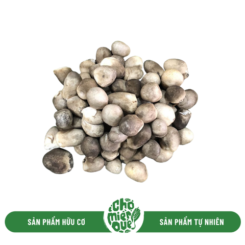 Nấm rơm tươi Sx hữu cơ - 200g