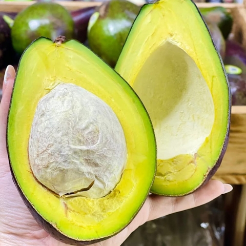 Bơ Tứ Quý Hữu Cơ ĐH