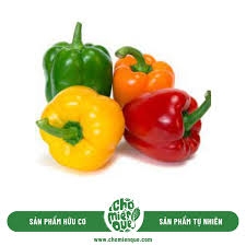 Ớt Chuông hữu cơ Mana Food