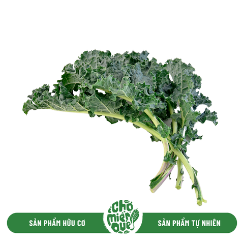 Cải kale hữu cơ - Kg