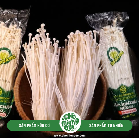 Nấm Kim Châm Hữu Cơ Bắc Âu