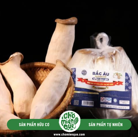 Nấm Đùi Gà Hữu Cơ Bắc Âu