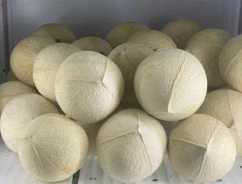 Combo Dừa Xiêm xanh - 5 trái