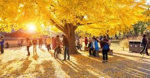 Budgeting For Traveling In Vietnam For 3 Weeks