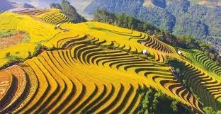 Explore Vietnamese Culture