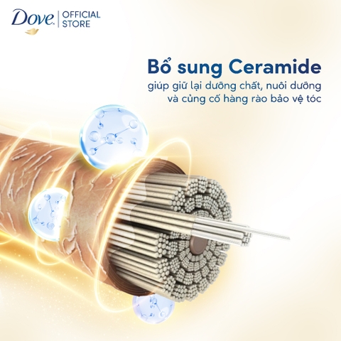 Dầu Gội Dove Chai 600G