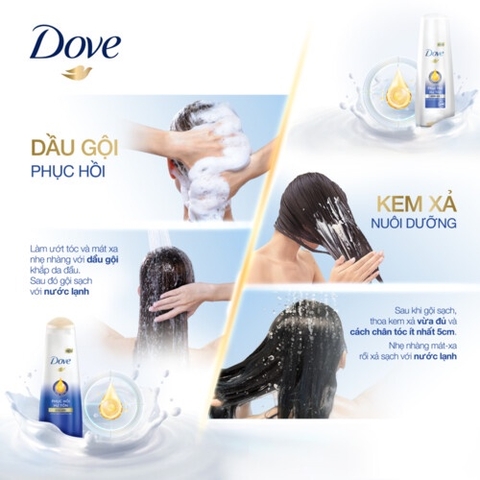 Dầu Gội Dove Phục Hồi Hư Tổn - Chai 640G (Tặng Xả Cùng Loại 140G)