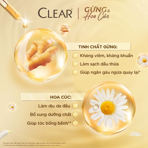 Dầu Gội CLEAR Gừng Và Hoa Cúc - Chai 630G