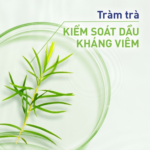 HAZELINE GRM tràm trà rau má 100g /24 bộ