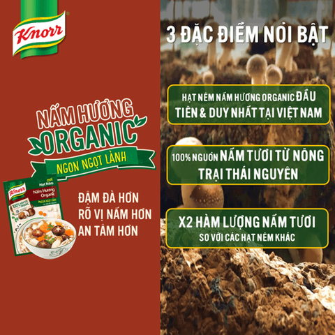 Hạt Nêm Knorr Nấm - Túi 380G