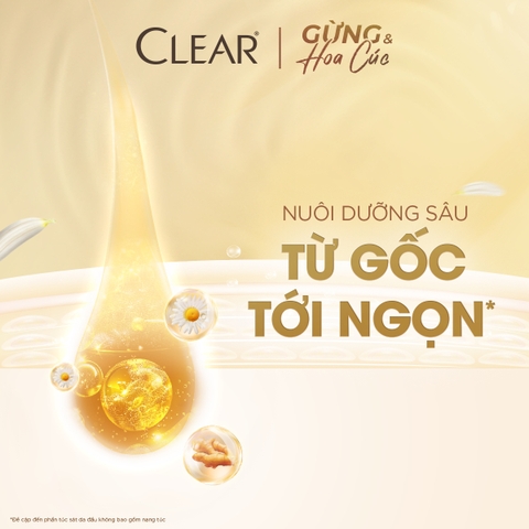 Dầu Gội CLEAR Gừng Và Hoa Cúc - Chai 630G