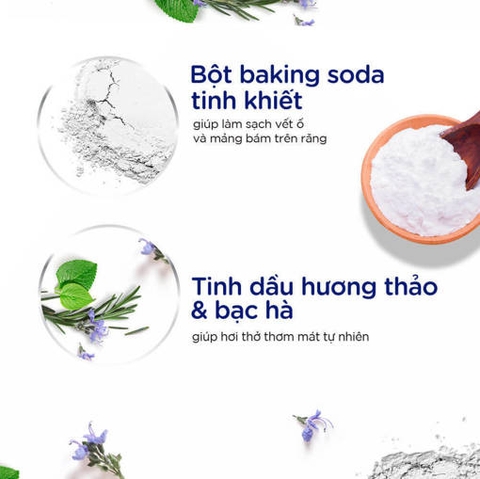 Kem Đánh Răng PS 180G