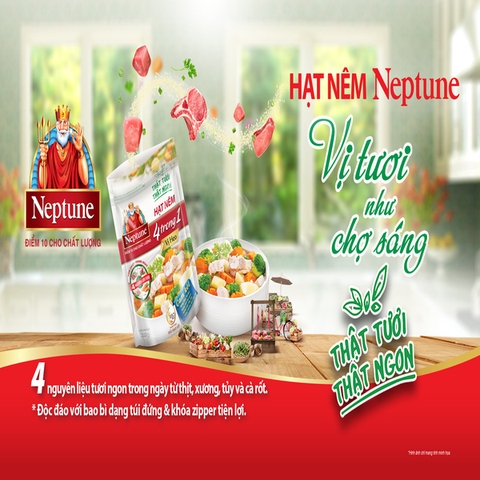 Hạt Nêm Neptune 4 trong 1 Vị Heo - Túi 500G