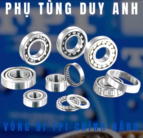 Vòng bi 6206 TPI