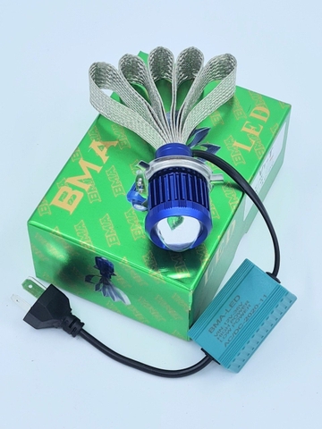 V1- BI CẦU BMA cốt vàng pha trắng đuôi công