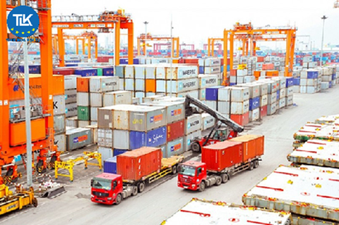 12 CASES OF WHOLLY OBTAINED GOODS UNDER THE AKFTA AGREEMENT
