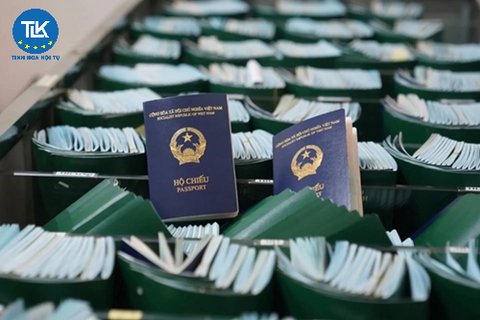 IMPLEMENTATION OF ONLINE RECEPTION AND RESOLUTION OF THREE IMMIGRATION-RELATED ADMINISTRATIVE PROCEDURES IN THE ELECTRONIC ENVIRONMENT