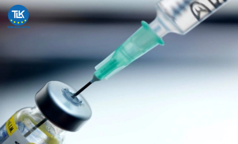 04 CASES OF DEATH SENTENCES BEING EXECUTED FROM November 15, 2025