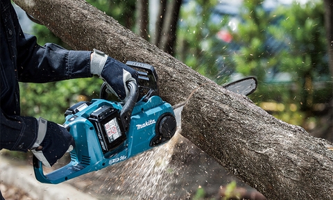 Cách Chọn Mẫu Cưa Xích Phù Hợp Cho Gia Đình Bạn