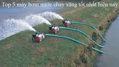 Top 5 Máy Bơm Nước Chạy Xăng Tốt Nhất Hiện Nay