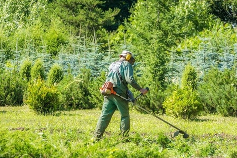 Hướng Dẫn Sử Dụng Máy Cắt Cỏ Cầm Tay Đúng Cách