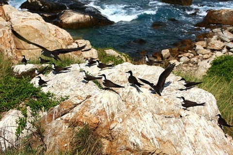 TOUR ĐẢO YẾN NHA TRANG BẰNG CANO CAO TỐC