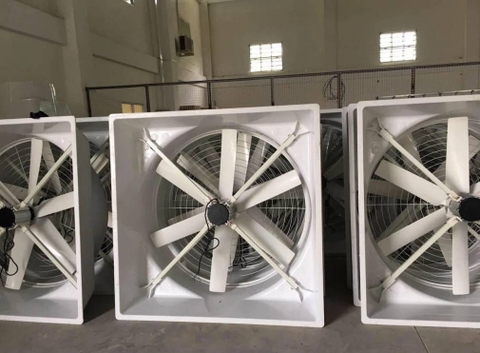 Vai trò của quạt hút gió Composite trong làm mát nhà xưởng