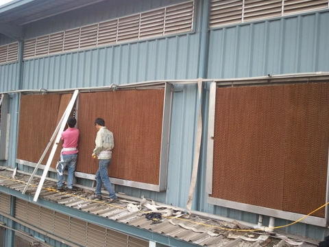 Lắp đặt hệ thống làm mát nhà xưởng bằng tấm Cooling Pab