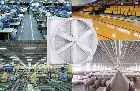 Quạt hút công nghiệp Composite truyền động gián tiếp