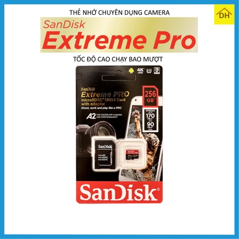 Kèm thẻ nhớ 256GB