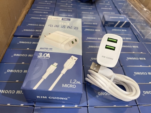 [SE36] Bộ sạc Kim Cương 613M kèm cáp micro 1m2