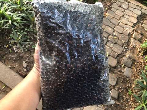 1kg Cafe Hạt Nguyên chất Culi