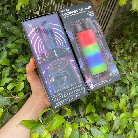 [SE138]Loa Bluetooth V5.0 không dây WK WeKome D40 cầm tay, để bàn, có đèn LED