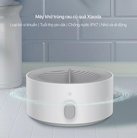 Máy rửa khử trùng rau củ quả Xiaoda HD-ZNGSQXJ01