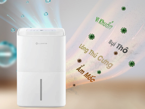 Máy hút ẩm lọc không khí Lumias D6S-60L