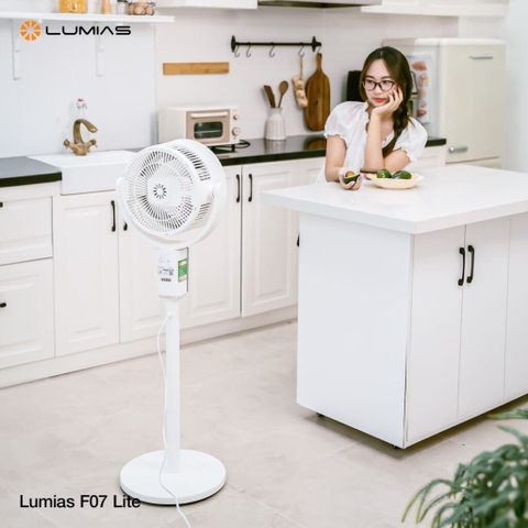 Quạt đối lưu không khí Lumias F07