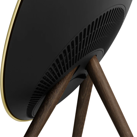 Loa BEOPLAY A9