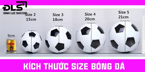 Hướng dẫn cách chọn Size bóng đá tiêu chuẩn FIFA
