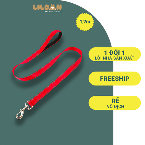 Dây Dẫn Chó Mèo - Dây Dẫn Dạ Quang, An Toàn Khi Đi Dạo Cùng Thú Cưng Trong Đêm