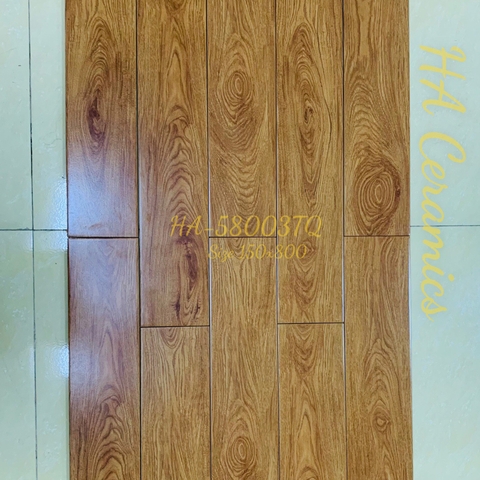 Gạch gỗ HA-58005TQ