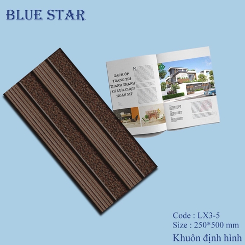 Gạch thẻ trang trí LX 3-5