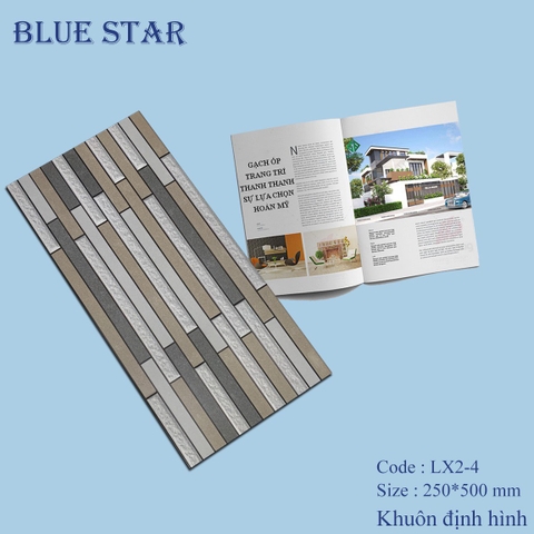 Gạch thẻ trang trí LX 2-4